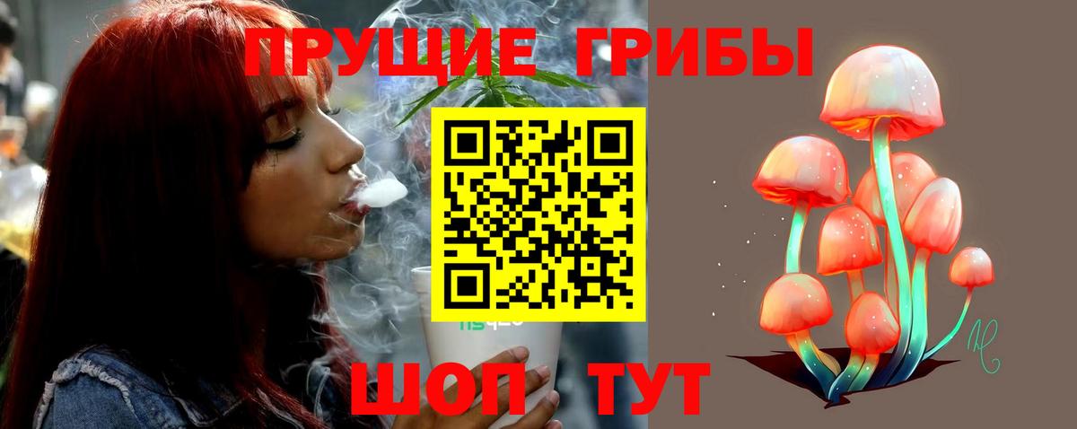 Псилоцибиновые грибы Psilocybe  даркнет сайт  Камень-на-Оби  Галлюциногенные грибы Cubensis  Вход с VPN 